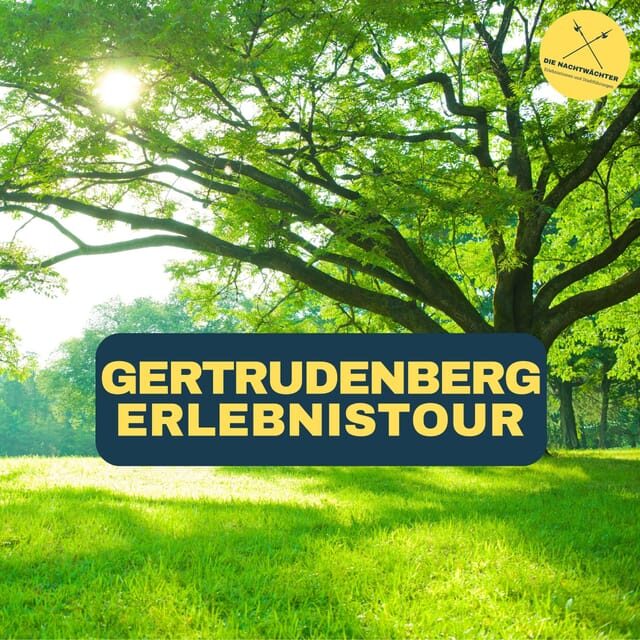 Osnabrück: Gertrudenberg-Führung (Erlebnistour) - Bürgerpark plus the old clinic buildings: calm views with a serious backdrop
