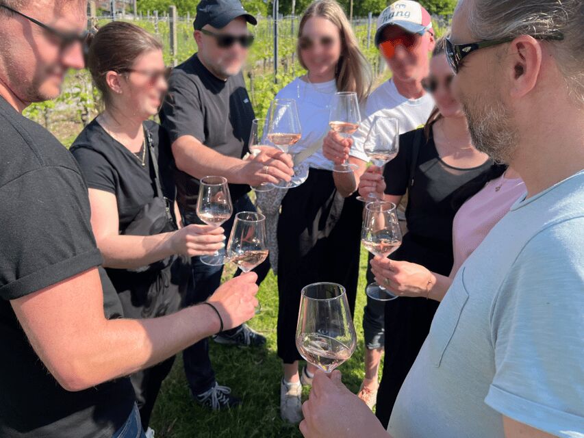 Premium wine hike Stuttgart with games and winemaker's snack - Five Regional Wines: What You’ll Taste (and Learn) on the Way