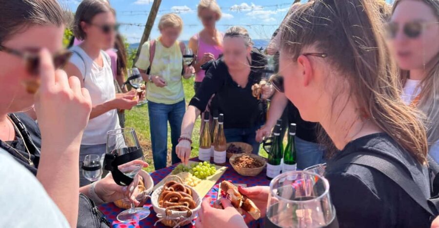 Premium wine hike Stuttgart with games and winemaker's snack - Snacks That Feel Like a Vineyard Break (Pretzels, Cheese, Grapes)