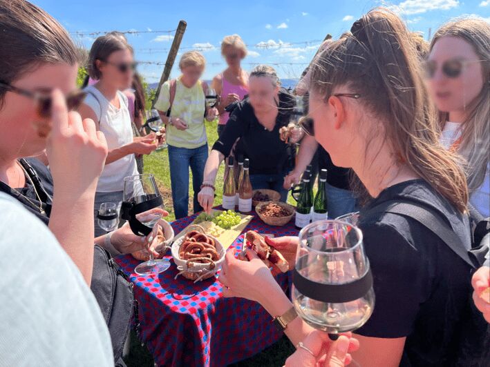 Premium wine hike Stuttgart with games and winemaker's snack - Price and Value: Is About $41 Actually Fair?
