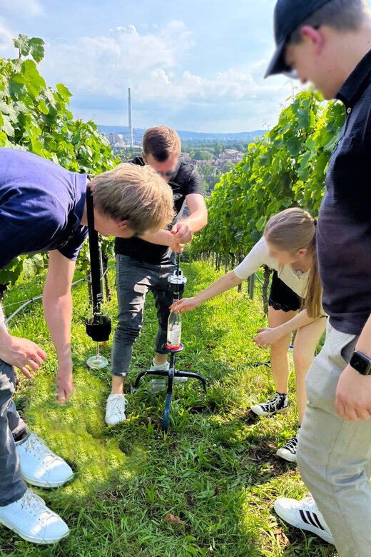 Premium wine hike Stuttgart with games and winemaker's snack - Who This Tour Fits Best (and Who Should Skip It)