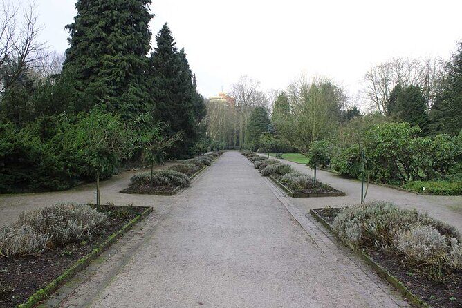 Private audio book city rally around the Rombergpark in Dortmund - What you do outdoors: park paths, herb garden clues, and mini-games