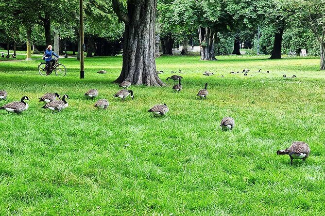 Private audio book city rally in the Volksgarten in Cologne - Walking the Volksgarten: lake, greenery, and the Fort IV story