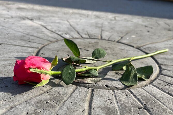 Private Dachau Concentration Camp Memorial Site Tour from Munich - Who this tour suits best (and who should think twice)