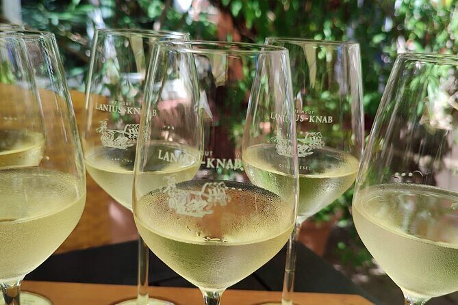 Private day trip to the Romantic Rhine Valley with river cruise and wine tasting - Kloster Eberbach: A Monastery Stop That Becomes Wine Context