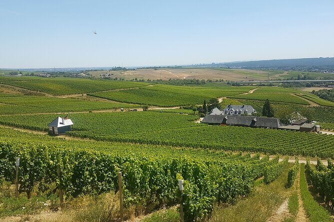 Private day trip to the Romantic Rhine Valley with river cruise and wine tasting - Schloss Johannisberg and the Riesling Story You’ll Remember