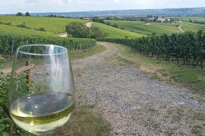 Private day trip to the Romantic Rhine Valley with river cruise and wine tasting - Passing Lorelei Rock on the Rhine: Myth Meets Motion