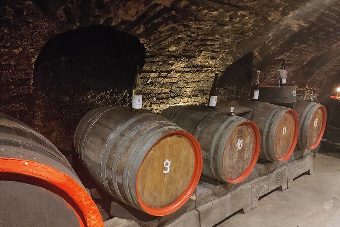 Private day trip to the Romantic Rhine Valley with river cruise and wine tasting - Burg Rheinfels: Big Fortress Energy (With Extra Admission)