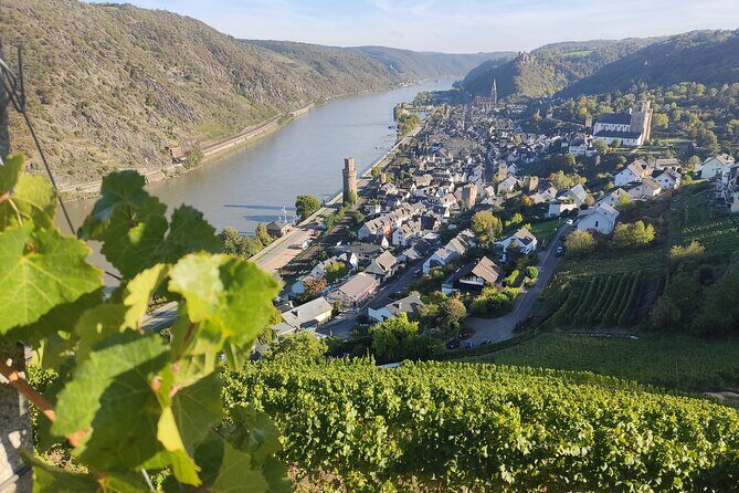 Private day trip to the Romantic Rhine Valley with river cruise and wine tasting - Oberwesel for Wine Tasting and the Cellar Visit