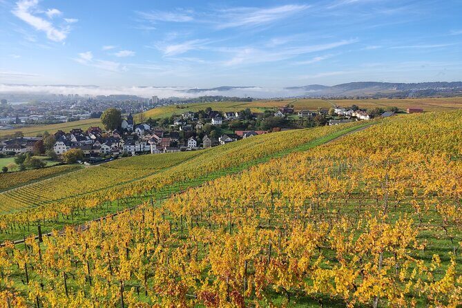 Private day trip to the Romantic Rhine Valley with river cruise and wine tasting - How Long It Really Takes (7 to 10 Hours)