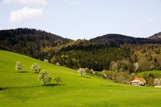 Private Full Day Tour in Baden's Black Forest - Key highlights at a glance