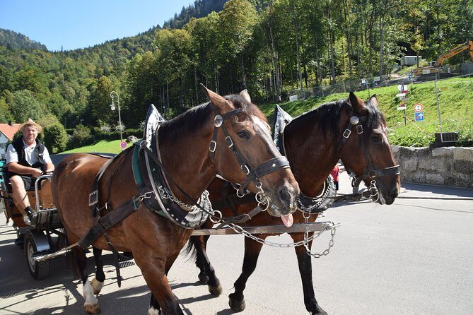 Private Guided Day Trip to Castle Neuschwanstein incl. Carriage Horse Ride - Füssen and the Altstadt area: quick legs, quick bites, and easy wandering