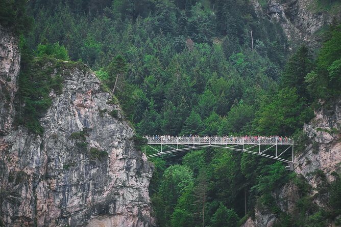 Private Neuschwanstein Castle Tour - optional Alpine Coaster - Optional Guided Small-Group Tour Inside Neuschwanstein Castle