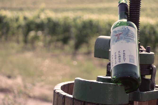 Private: Outdoor Escape Game Tuniberg: Eduardo & the Wine Secret - Price, Private Groups, and Value in Two Hours