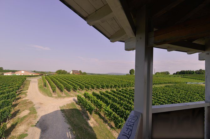 Private: Outdoor Escape Game Tuniberg: Eduardo & the Wine Secret - FAQ