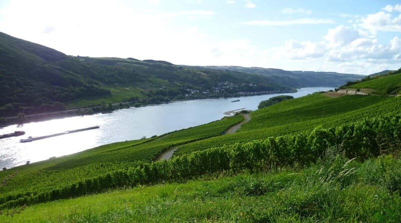 Private Rhine Valley tour with river cruise & wine tasting - Key highlights worth planning for