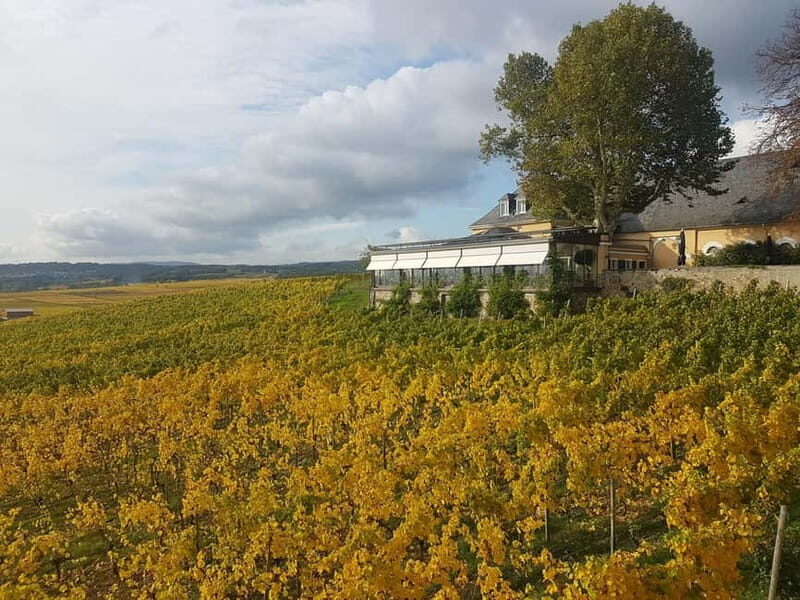 Private Rhine Valley tour with river cruise & wine tasting - Price and value: is $918 per person actually a good deal?