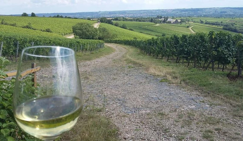 Private Rhine Valley tour with river cruise & wine tasting - Why the Rhine Valley feels different with this format