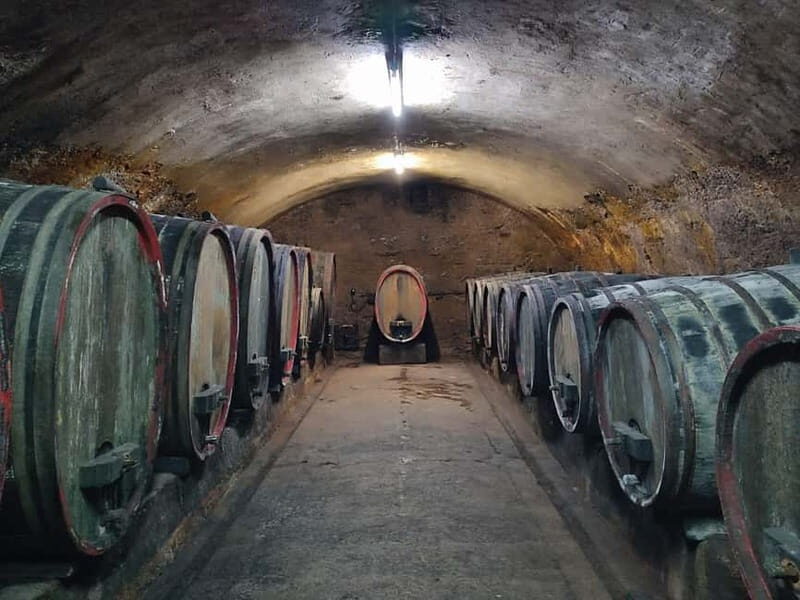 Private Rhine Valley tour with river cruise & wine tasting - Johannisberg Castle and Rüdesheim: photos, walking, and the feel of the river towns