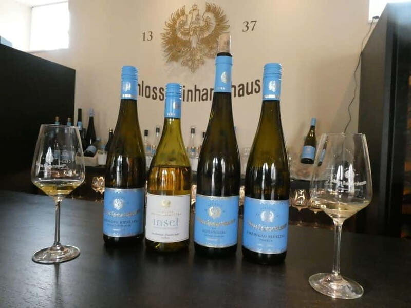 Private Rhine Valley tour with river cruise & wine tasting - Oberwesel and the private winery: the part that makes it feel worth the price