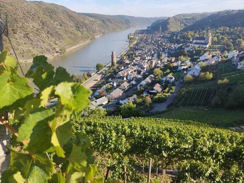 Private Rhine Valley tour with river cruise & wine tasting - Getting from Frankfurt: van comfort and a smart pace