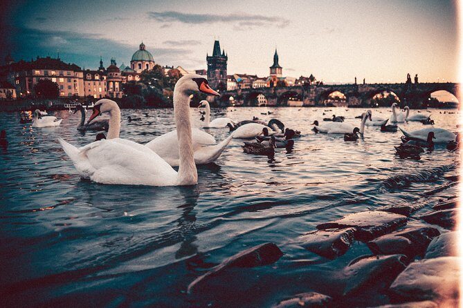 Private Transfer from Berlin to Prague with 2h of Sightseeing - Your driver: local insights in plain language, not a scripted tour