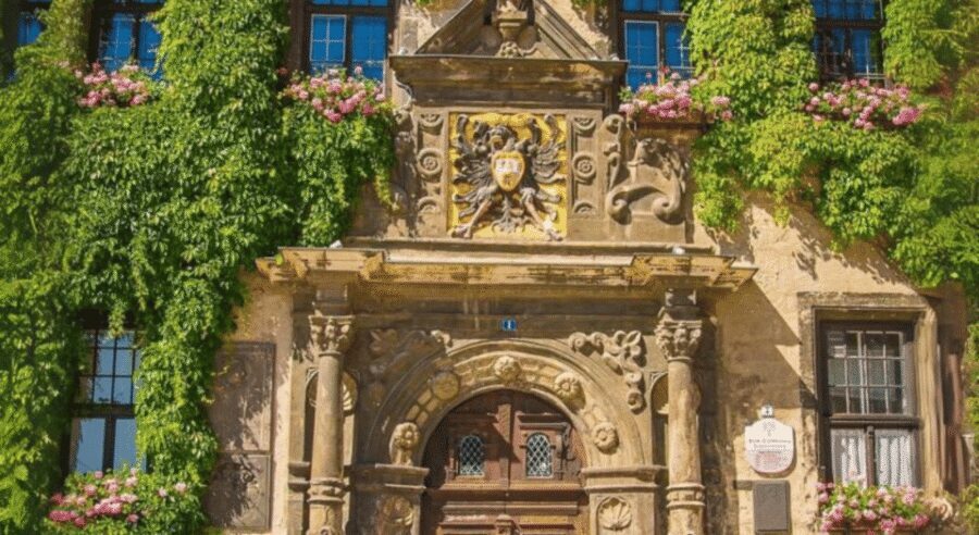 Quedlinburg UNESCO World Heritage Group Tour (private) - Where You Start: Market Square Meets the Green City Info Office