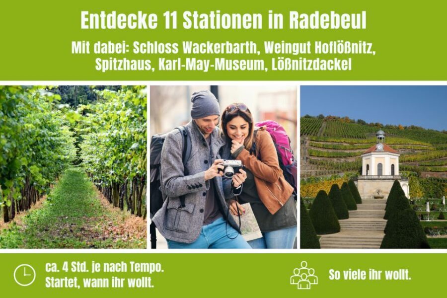 Radebeul: Scavenger Hunt Self Guided Tour - Vineyard Walk and Wine Estates: What You’ll See Between Puzzles
