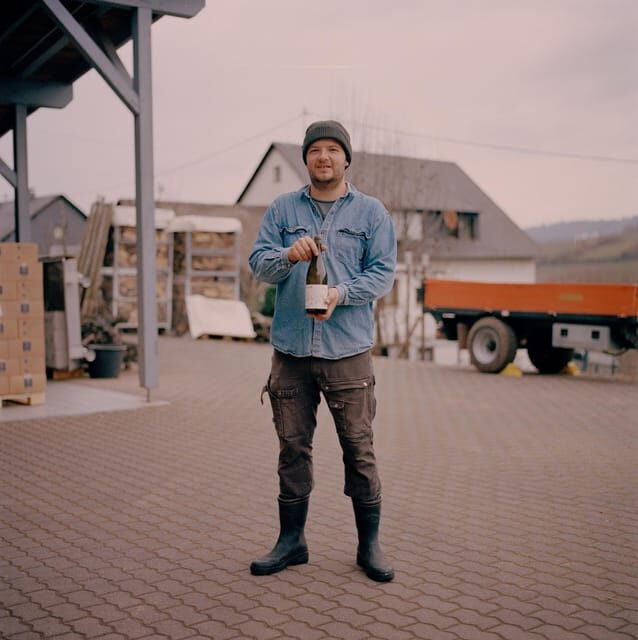 Reil, Mosel: Guided organic wine tasting and cellar tour - Vineyard tour: seeing organic growing as a system, not a slogan
