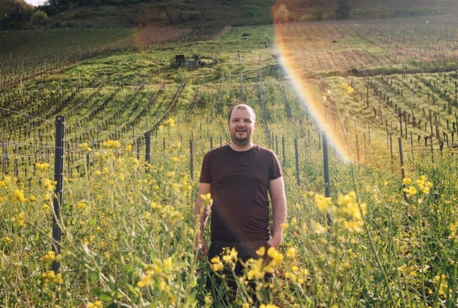 Reil, Mosel: Guided organic wine tasting and cellar tour - Who should book this tour (and who might want a different style)