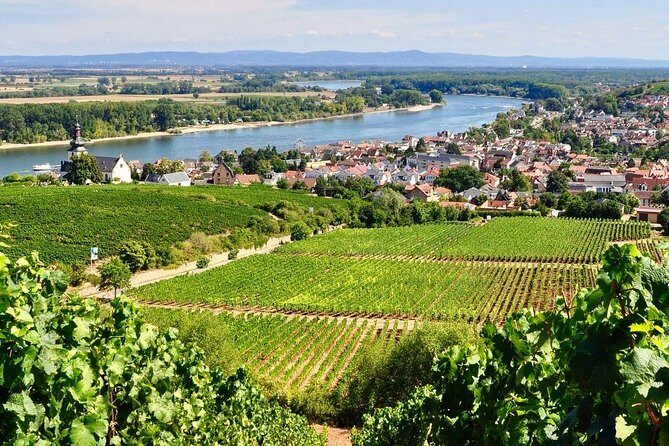 Rhine Valley Wine Tasting Tour from Frankfurt and Mainz - Frankfurt or Mainz pickup that actually feels convenient