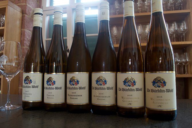 Rhine Valley Wine Tasting Tour from Frankfurt and Mainz - Winery stops built around tasting education, not just quantity