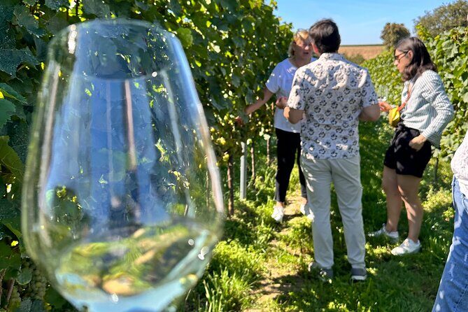 Rhine Valley Wine Tasting Tour from Frankfurt and Mainz - Weather and routing: how the day can change