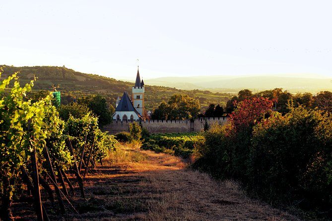Rhine Valley Wine Tasting Tour from Frankfurt and Mainz - Price and value: what $476.68 per person is really buying