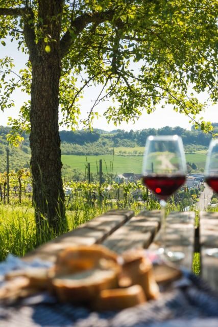 Romantic Road Ticket Würzburg - Rothenburg with Wine Tasting - Meeting Up in Würzburg: Start Point and Practical Tips