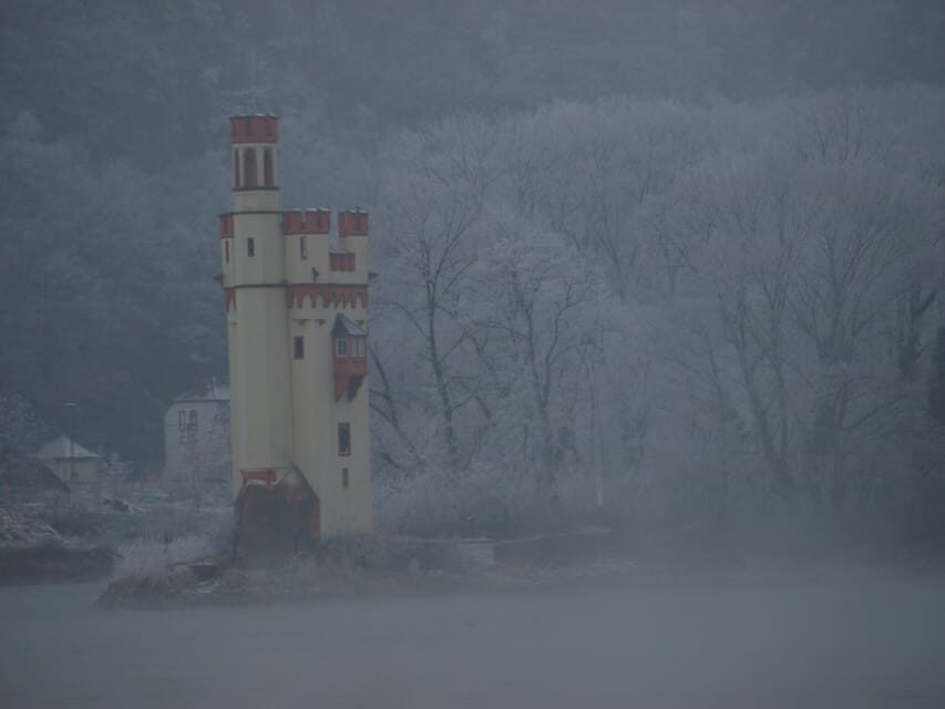 Rüdesheim am Rhein: Christmas Boat Cruise on the Rhine - The festive part: Christmas music and seasonal atmosphere