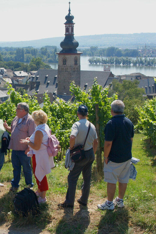 Rüdesheim am Rhein: city tour - Key highlights worth knowing