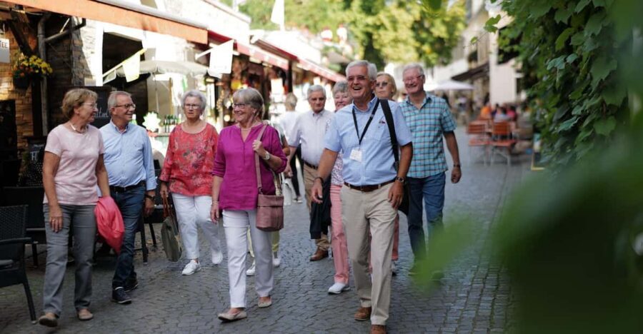 Rüdesheim am Rhein: city tour - Rüdesheim Am Rhein in 90 Minutes: How the Tour Gets You Oriented
