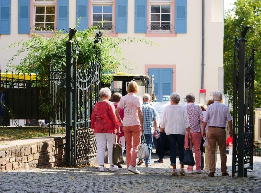 Rüdesheim am Rhein: city tour - Language Reality Check: German-Only Can Change Everything
