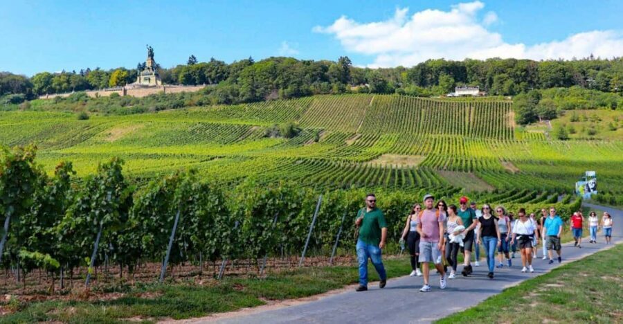 Rüdesheim - Guided wine hikes with 4wines and cable car ride - Wine tastings: sparkling welcome plus 4 vegan pours