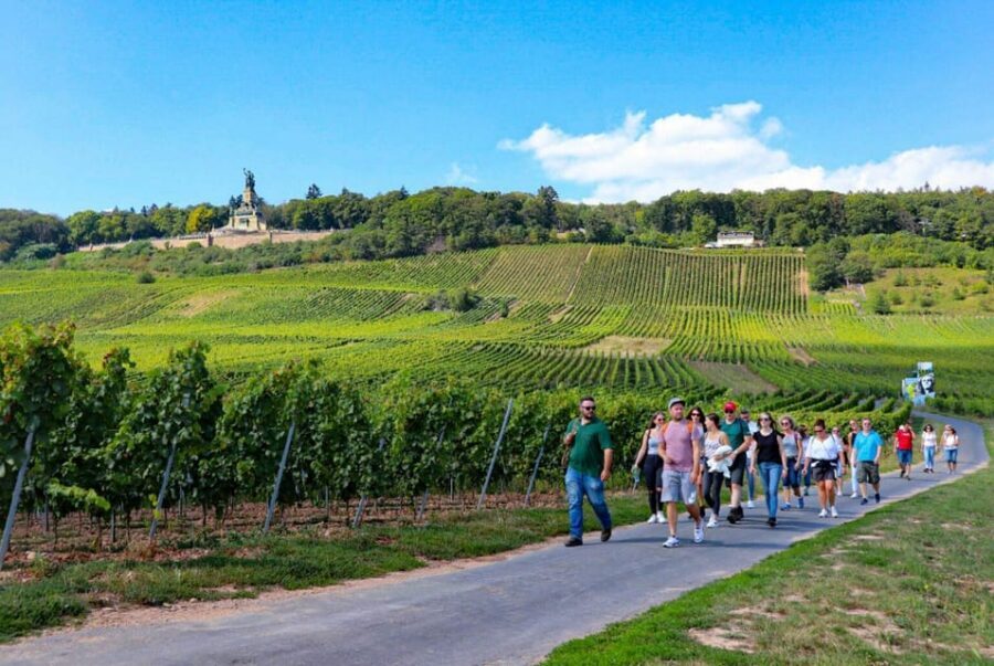 Rüdesheim - Guided wine hikes with 4wines and cable car ride - Historic restaurant finale: tastings plus a souvenir glass