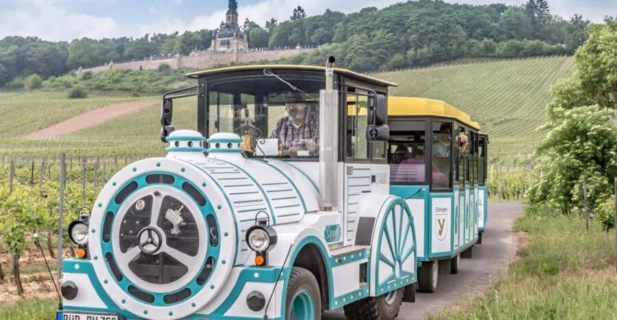 Rüdesheim sightseeing tour with the Winzerexpress - Drosselgasse and Siegfried’s Mechanical Music Cabinet moment
