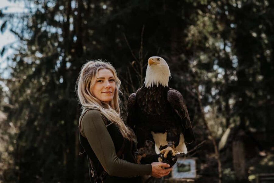 Ruhla: Ticket for a flight show with eagles, owls, and more. - The birds you’ll actually see: 38 raptors, including the three-meter monk vulture