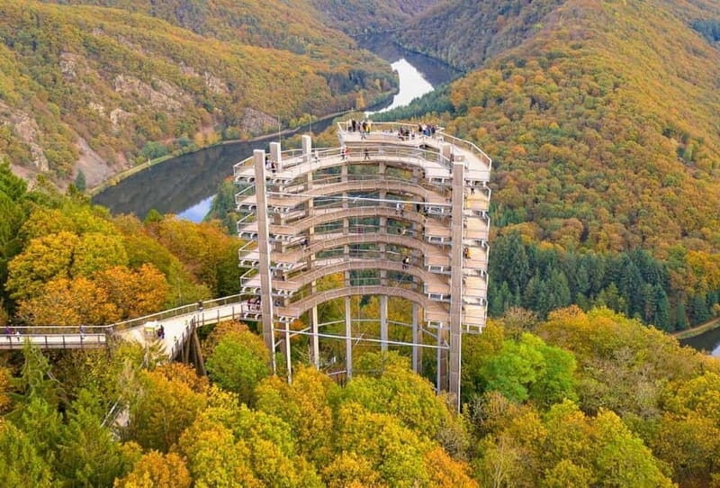 Saarland: Treetop Walk Saarschleife & Lookout Tower - What to know before you go: rain, dogs, and small rules that matter
