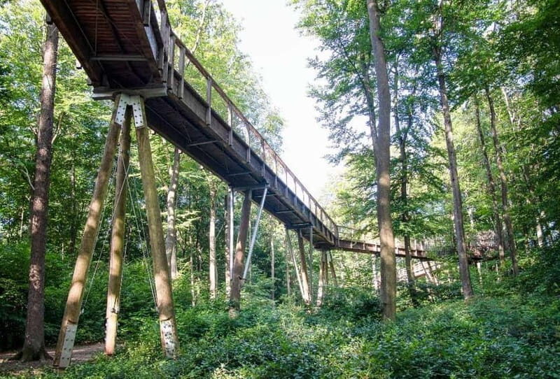 Saarland: Treetop Walk Saarschleife & Lookout Tower - FAQ