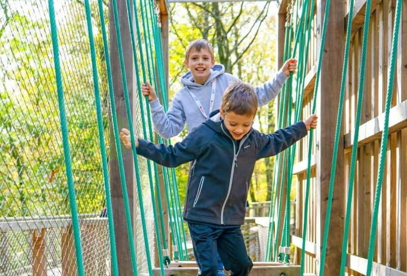 Saarland: Treetop Walk Saarschleife & Lookout Tower - Comic Rallye and learning stations: turning a walk into a nature mission