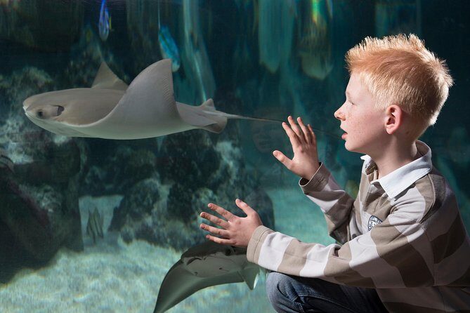 SEA LIFE Hannover Ticket - Practical logistics: meeting point, tickets, language, and transit