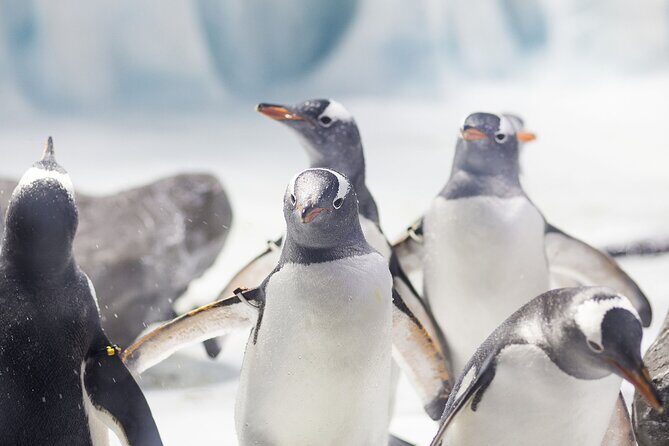 SEA LIFE Konstanz Admission Ticket - Key things to know before you go