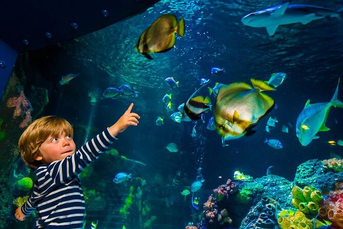 SEA LIFE Konstanz Admission Ticket - Following the water’s route: from Rhine beginnings to Antarctica