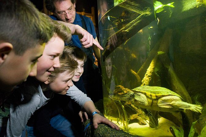 SEA LIFE Munich Admission Ticket - SEA LIFE Munich’s Olympic Park setting: easy to reach, simple to start